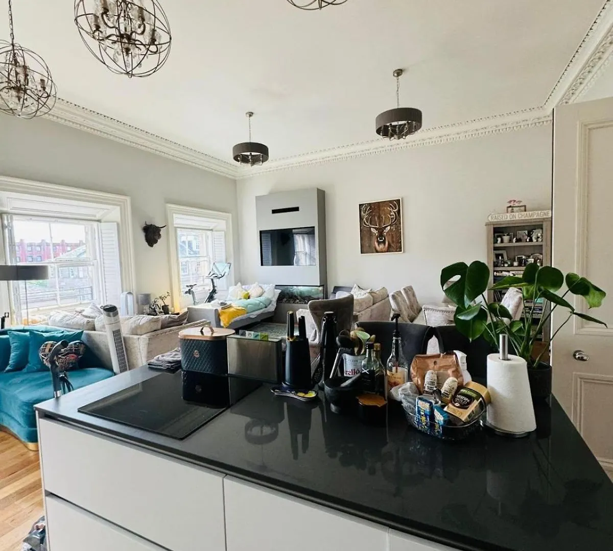 Beautiful Edinburgh Apartment